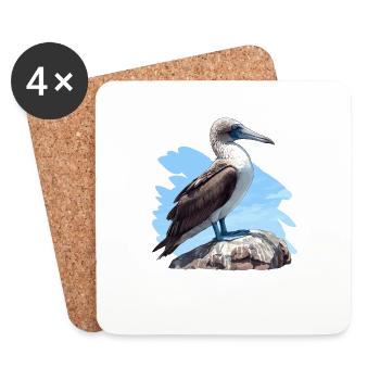 Blue-footed booby - Coasters (set of 4) - white - Front