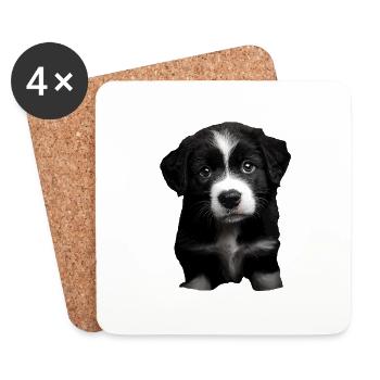 Berner Sennenhund - Untersetzer (4er-Set) - Weiß - Vorne