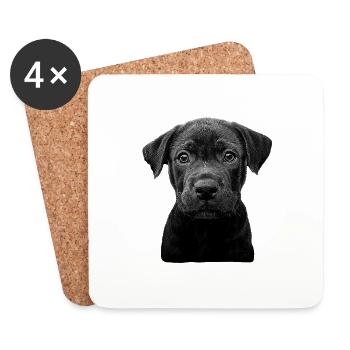 Cane Corso - Untersetzer (4er-Set) - Weiß - Vorne