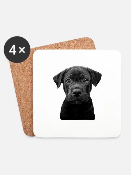 Cane Corso - Untersetzer (4er-Set) - Weiß