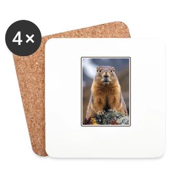 Marmottes Marmottes - Dessous de verre (lot de 4) - blanc - Devant