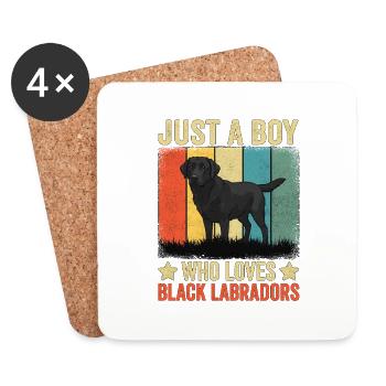 Just A Boy Who Loves Black Labradors - Coasters (set of 4) - white - Front