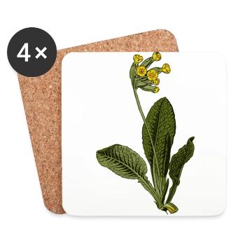 Primula veris - Coasters (set of 4) - white - Front