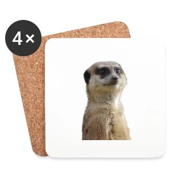 Meerkats photo - Coasters (set of 4) - white - Front