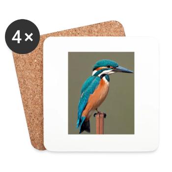 kingfisher on the branch - Coasters (set of 4) - white - Front