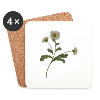 Gänseblümchen - Untersetzer (4er-Set) - Weiß - Vorne
