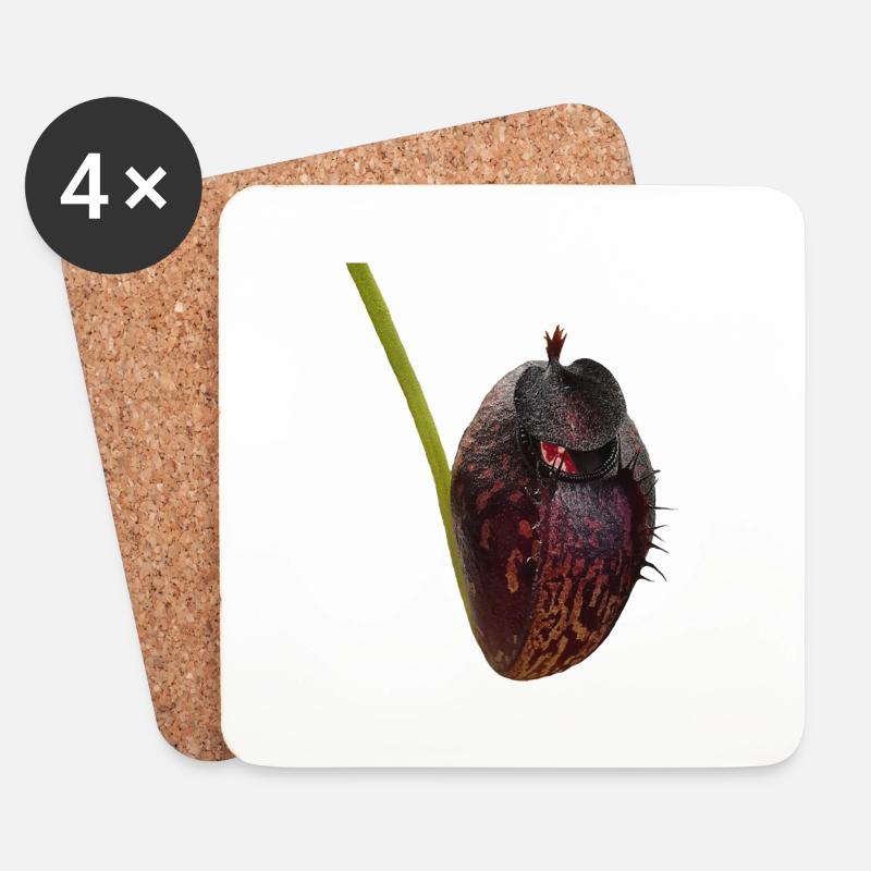 Nepenthes aristolochioides 02 - Untersetzer (4er-Set) - Weiß