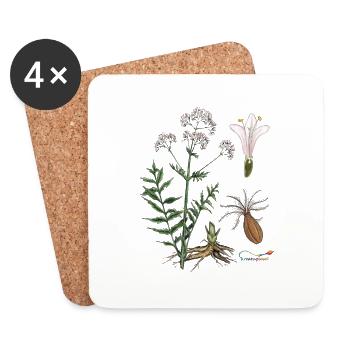 Baldrian (Valeriana officinalis) - Untersetzer (4er-Set) - Weiß - Vorne