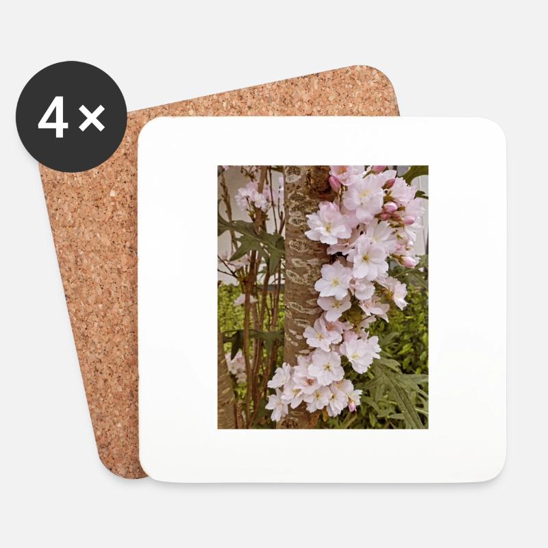 Zarte Kirschblüten auf Baumstamm - Untersetzer (4er-Set) - Weiß