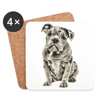 OLD ENGLISH BULLDOG Chien Chiens Bouledogue - Dessous de verre (lot de 4) - blanc - Devant