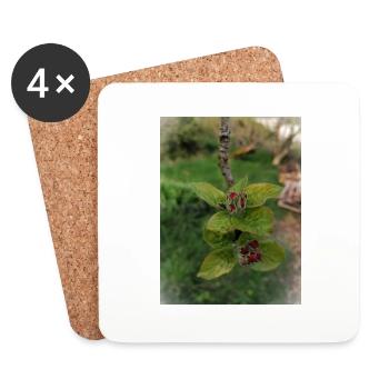bourgeon - Dessous de verre (lot de 4) - blanc - Devant