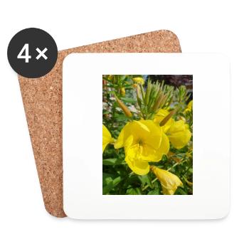 common evening primrose Oenothera biennis - Coasters (set of 4) - white - Front
