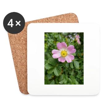 sweet briar auch eglantine rose Weinrose - Untersetzer (4er-Set) - Weiß - Vorne