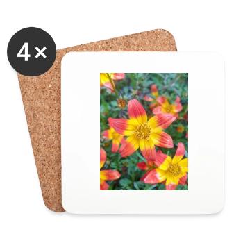 Bidens triplinervia Dreinerviger Zweizahn - Untersetzer (4er-Set) - Weiß - Vorne