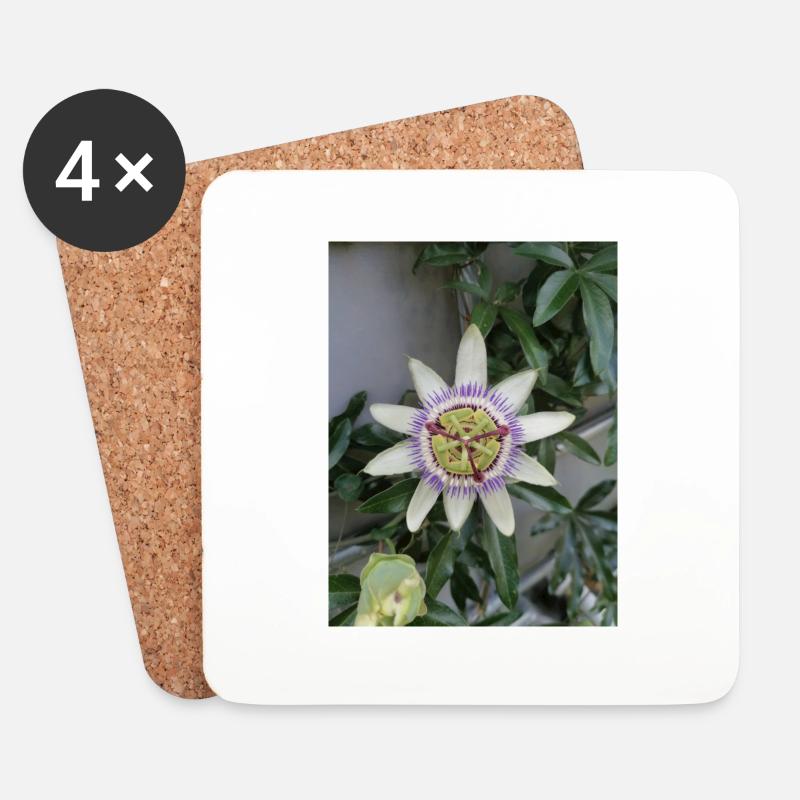 Passion Fruit Flower Passiflora - Coasters (set of 4) - white