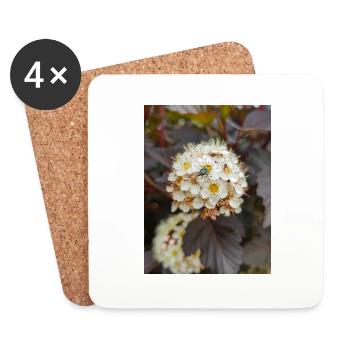 Neunrinde Physocarpus capitatus Blasenspiere - Untersetzer (4er-Set) - Weiß - Vorne