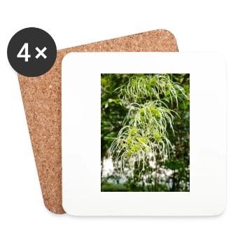 Traveller's Joy Clematis vitalba - Untersetzer (4er-Set) - Weiß - Vorne