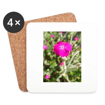 Rosennelke Kronen-Lichtnelke Lychnis coronaria - Untersetzer (4er-Set) - Weiß - Vorne