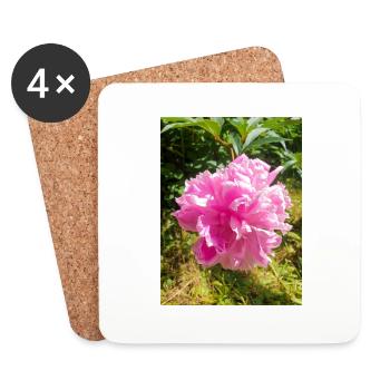 Pivoine de Chine Chinesische Pfingsrose , Pfingstrose - Dessous de verre (lot de 4) - blanc - Devant