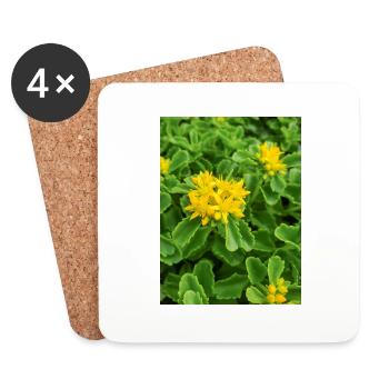 orpin aussi sedum aussi orpine Ewige Fetthenne - Dessous de verre (lot de 4) - blanc - Devant