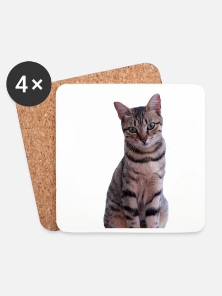Katze Kätzchen - Untersetzer (4er-Set) - Weiß