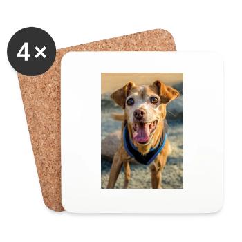 Hunde Portrait im Freiem - Untersetzer (4er-Set) - Weiß - Vorne