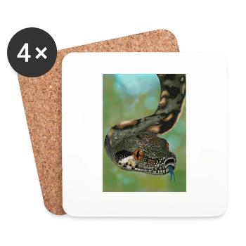 realistische boa constrictor - Untersetzer (4er-Set) - Weiß - Vorne