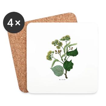 Large leaved lime - Coasters (set of 4) - white - Front