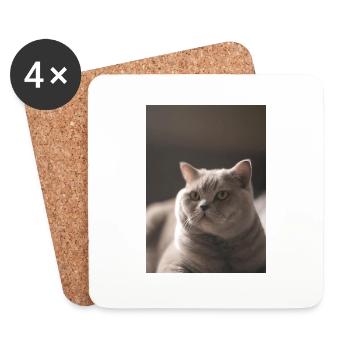 Britische Kurzhaarkatze - Untersetzer (4er-Set) - Weiß - Vorne