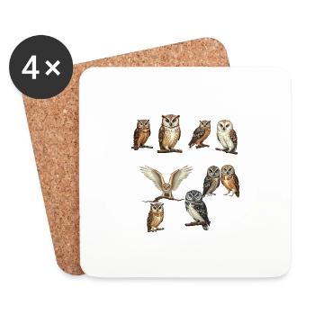 Types of Owls Educational Collection Cute Owl 2025 - Dessous de verre (lot de 4) - blanc - Devant