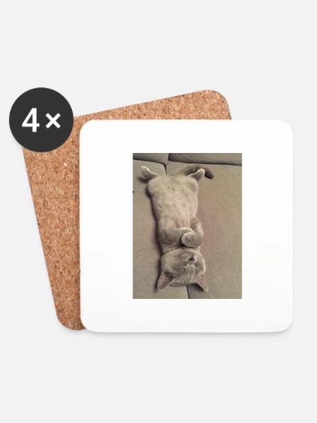 Sweet Britisch Kurzhaar Katze am Chillen - Untersetzer (4er-Set) - Weiß