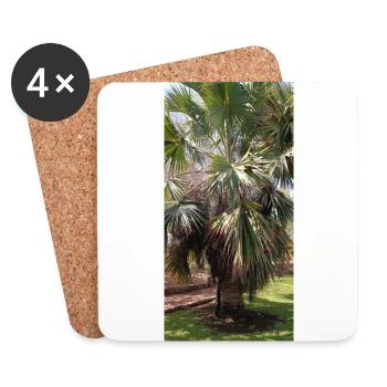 Kanarische schöne Palme - Untersetzer (4er-Set) - Weiß - Vorne