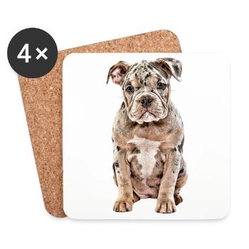 OLD ENGLISH BULLDOG Dog Dogs Bulldog - Coasters (set of 4) - white - Front