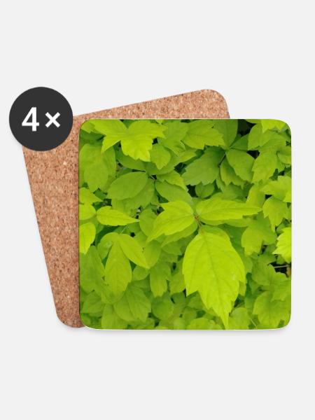 Eschen Ahorn / Acer negundo - Untersetzer (4er-Set) - Weiß