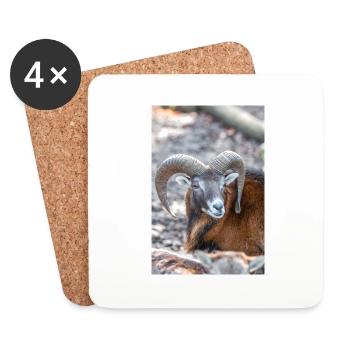 European mouflon (in german Europäischer Mufflon) - Untersetzer (4er-Set) - Weiß - Vorne