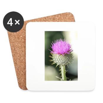 cotton thistle also Scotch or Scottish thistle - Coasters (set of 4) - white - Front