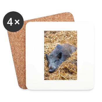 Wild boar (in German wild boar) Sus scrofa - Coasters (set of 4) - white - Front