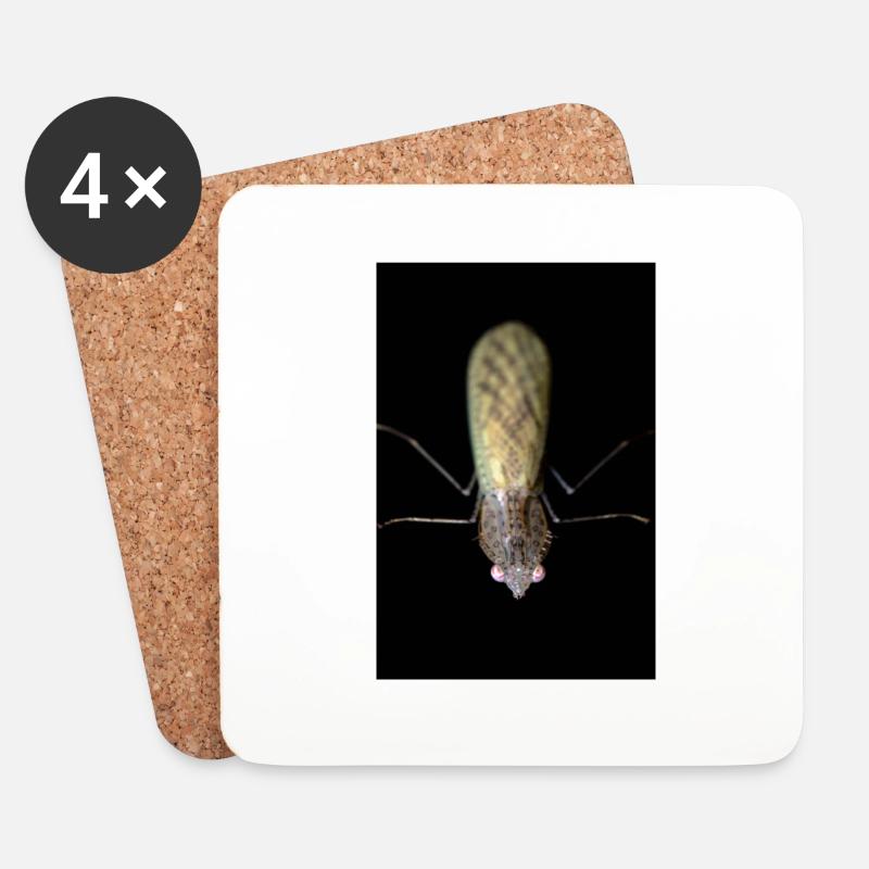 Sinomantis denticulata adult - Untersetzer (4er-Set) - Weiß