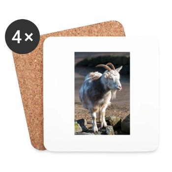 Chèvre naine ou chèvre miniature Zwergziege - Dessous de verre (lot de 4) - blanc - Devant