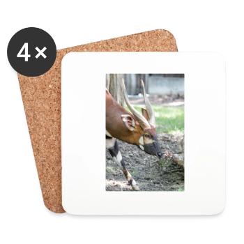 Östlicher Bongo Tragelaphus euryce - Untersetzer (4er-Set) - Weiß - Vorne