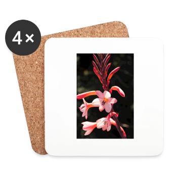 Fleur - Dessous de verre (lot de 4) - blanc - Devant