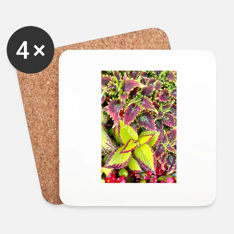 Buntnessel - Untersetzer (4er-Set) - Weiß