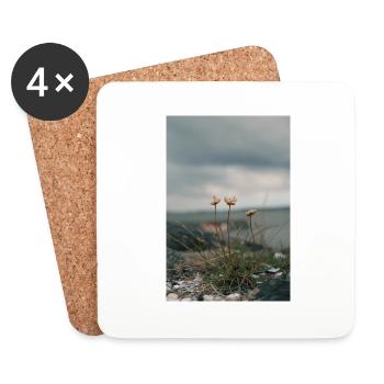 ocean - Coasters (set of 4) - white - Front
