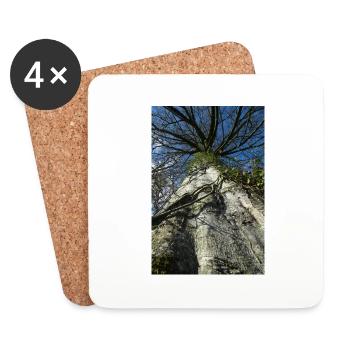 contre-plongée arbre, écorce grise - Dessous de verre (lot de 4) - blanc - Devant
