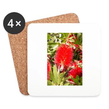 red bottlebrush (Karminrote Zylinderputzer) - Coasters (set of 4) - white - Front
