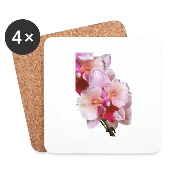 Phalaenopsis Swan Blush Peloric Orchid Blossom - Coasters (set of 4) - white - Front