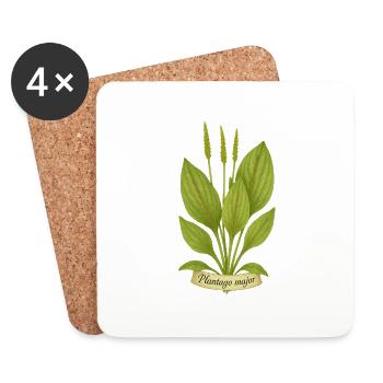 Breitwegerich – Plantago major | Kraft der Bodenkr - Untersetzer (4er-Set) - Weiß - Vorne