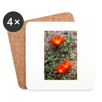 Hängende Eisblume Winterhartes Eis Delosperma - Untersetzer (4er-Set) - Weiß - Vorne