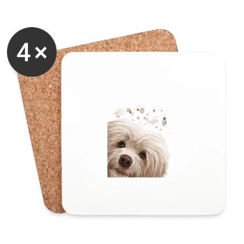 Neugieriger Havaneser Hund - Untersetzer (4er-Set) - Weiß - Vorne