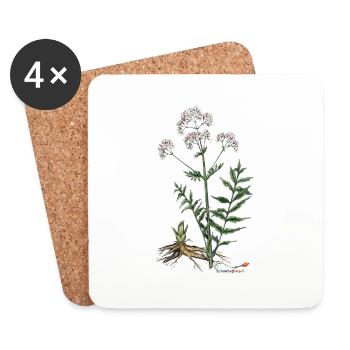 Baldrian (Valeriana officinalis) - Untersetzer (4er-Set) - Weiß - Vorne